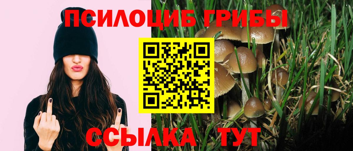 Галлюциногенные грибы MAGIC MUSHROOMS Кропоткин